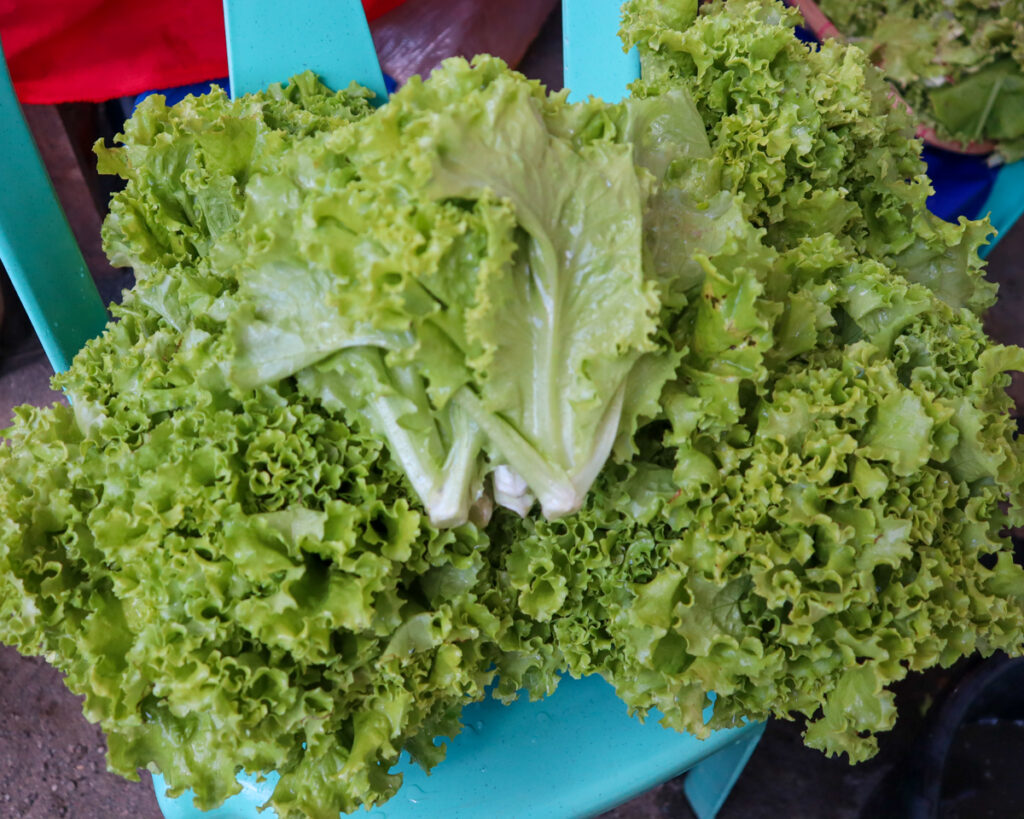 Farmers Market at Rizal Park Davao