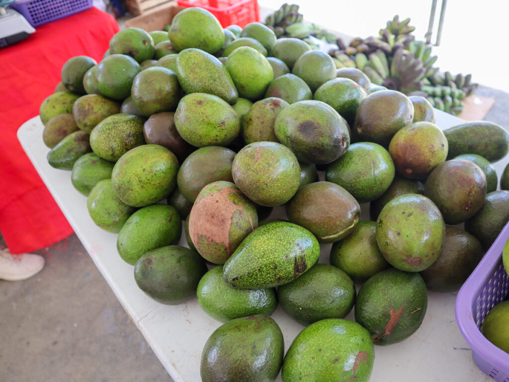 Farmers Market at Rizal Park Davao