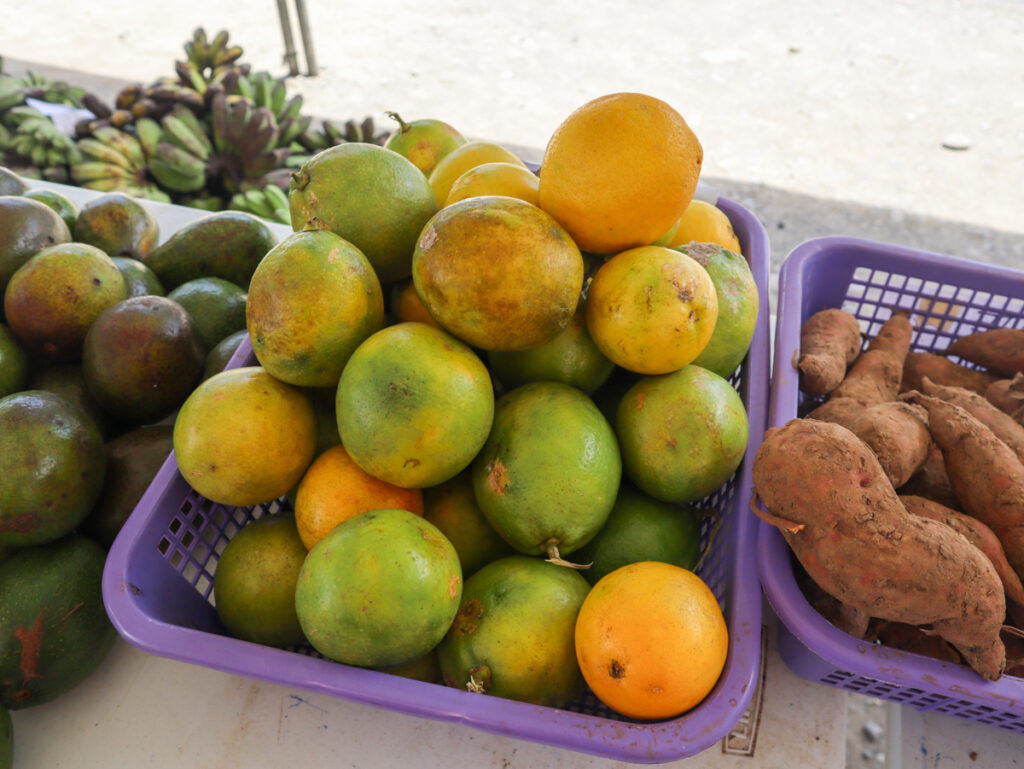 Farmers Market at Rizal Park Davao