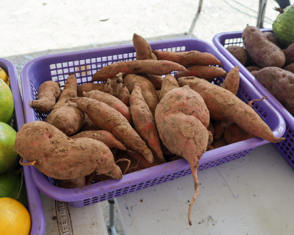 Farmers Market at Rizal Park Davao